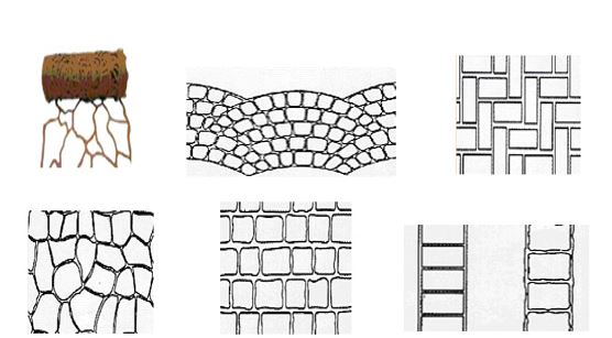 Acid & Stencil Διακοσμητικά Δάπεδα
